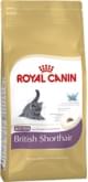 купить Royal Canin British Shorthair Kitten. Размеры упаковки: 0.4 кг, 2.0 кг, 10.0 кг.